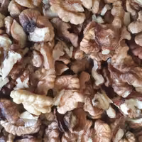 مغز گردو فسنجانی