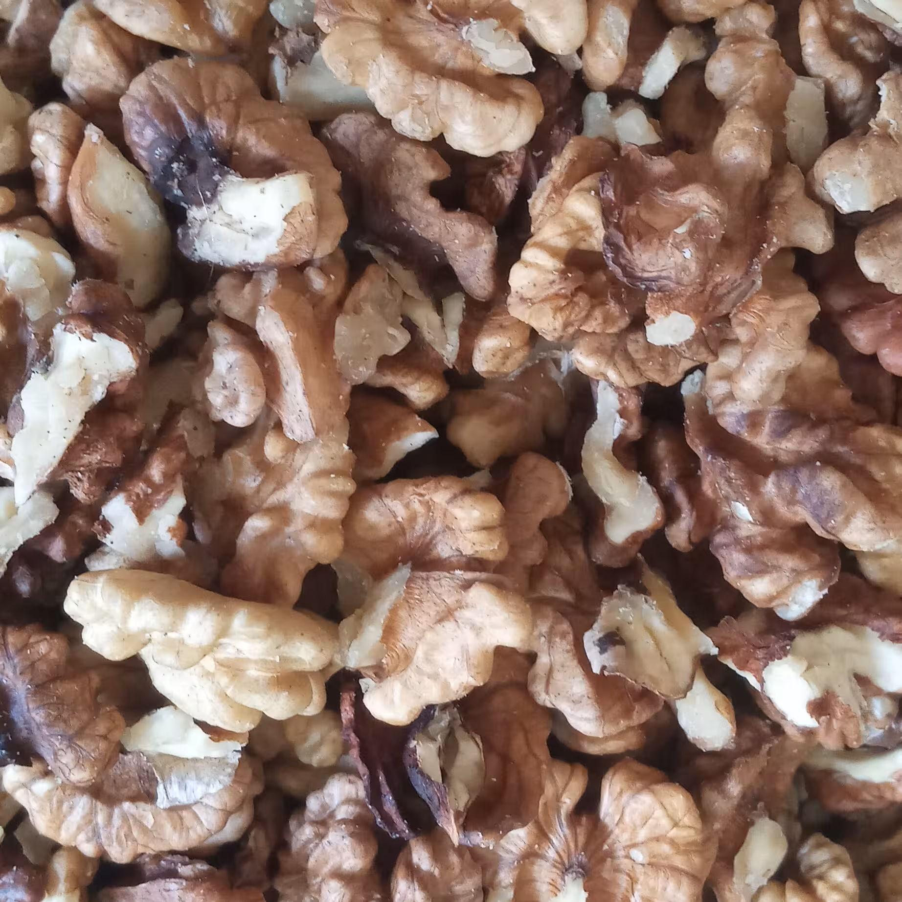 مغز گردو فسنجانی