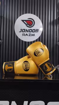 دستکش بوکس رییس