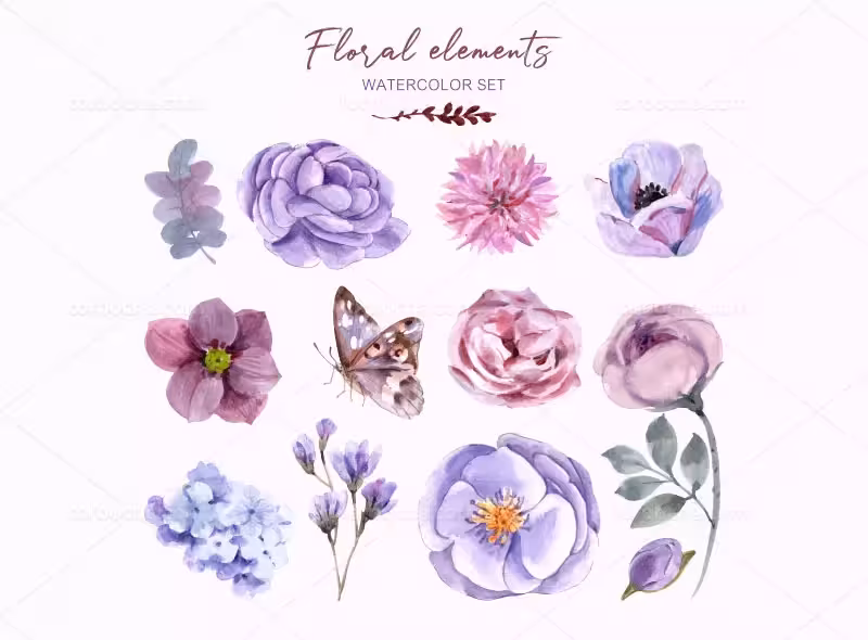 وکتور گل و پروانه آبرنگی | گرافیک با طعم تربچه