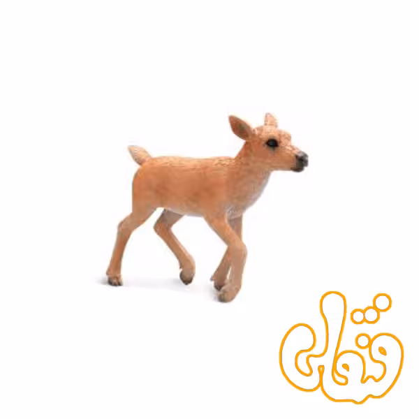 گوساله گوزن شمالی Reindeer Calf 387188