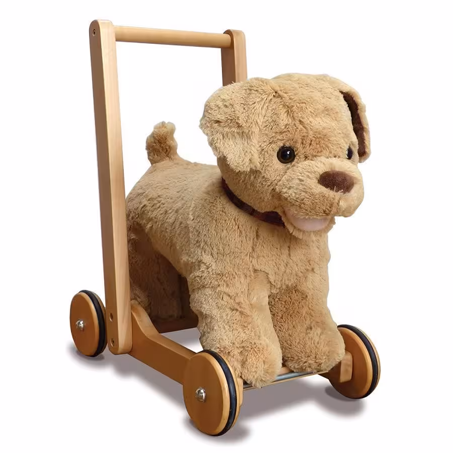 واکرسگ چوبی لیتل برد reversible dog  little bird