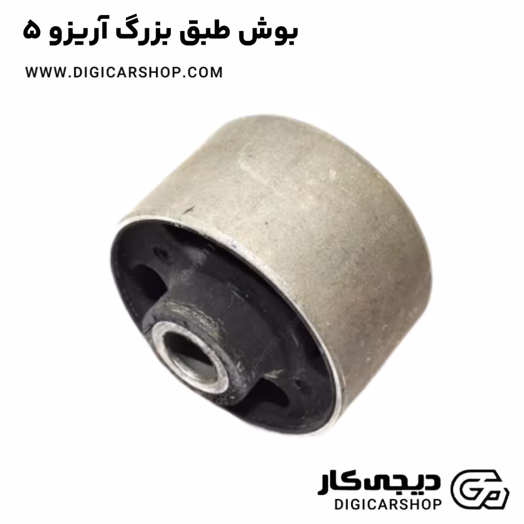 بوش طبق بزرگ آریزو 5