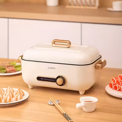 قابلمه چند کاره ژنمی مدل ZM-ED4001