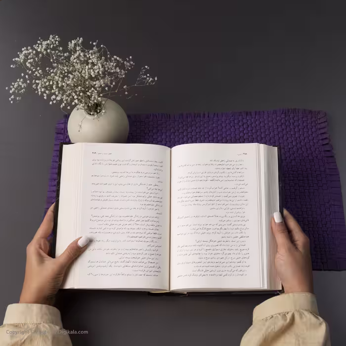 کتاب دزیره اثر آن ماری سلینکو انتشارات مجید