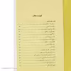 کتاب حرف بزنم یا نزنم اثر عزیز نشین نشر نگاه