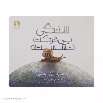 کتاب سنگی بی حرکت نشسته اثر برندن ونزل نشر میکان 