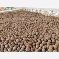 گردو تویسرکان پوست کاغذی 