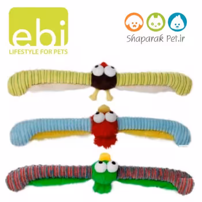 پرنده با بالهای باز