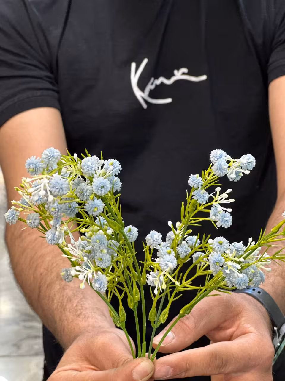 بوته ژیپسوفیلا آبی