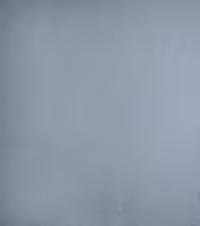 بک دراپ چوبی تکرنگ کد 284 (در 3 سایز)