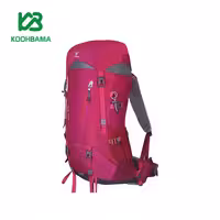 کوله پشتی 5 40 لیتری کله گاوی مدل polar