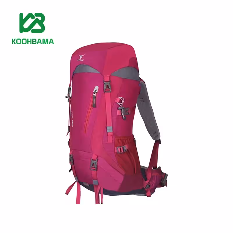 کوله پشتی 5 40 لیتری کله گاوی مدل polar