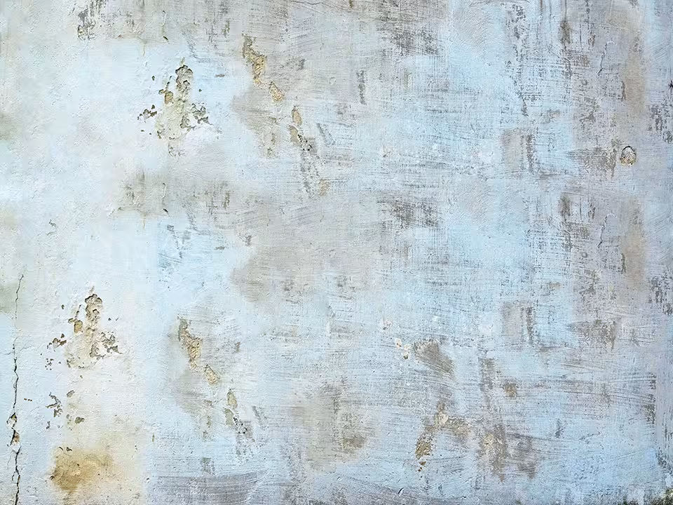 بک دراپ چاپی کد 558 (در 4 سایز)