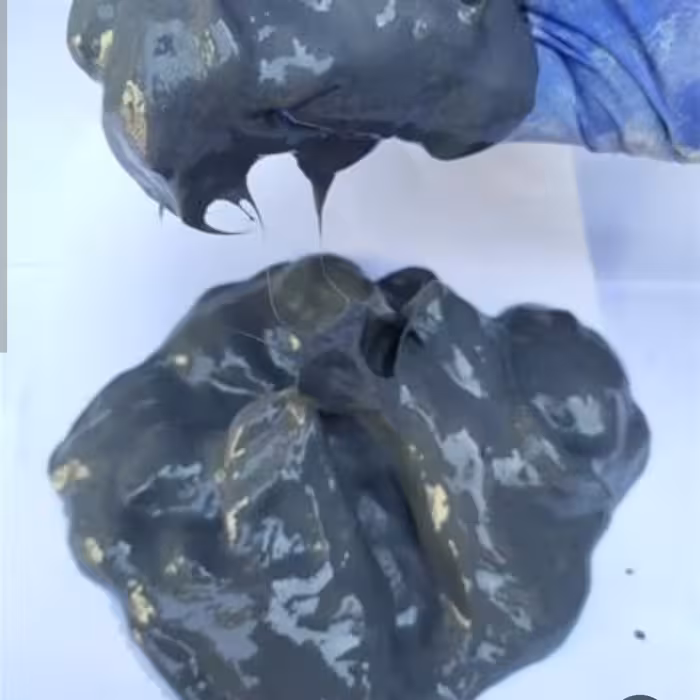 سوپر ژل میکروسیلیس (سطل پلاستیکی 25kg)