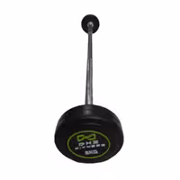 باربل صاف DHZ وزن 5 کیلوگرم