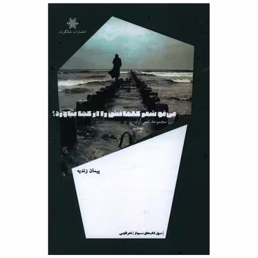 کتاب بی تو شعر کلماتش را از کجا بیاورد اثر پیمان زندیه