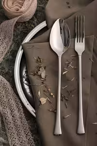 سرویس قاشق چنگال 157 پارچه فیلیکس مدل 170s