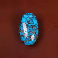 نگین فیروزه شجری کد 29500 - جواهری مشاهیر