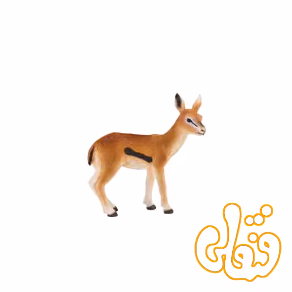 بچه غزال تامسون Thomson’s Gazelle Fawn 387123