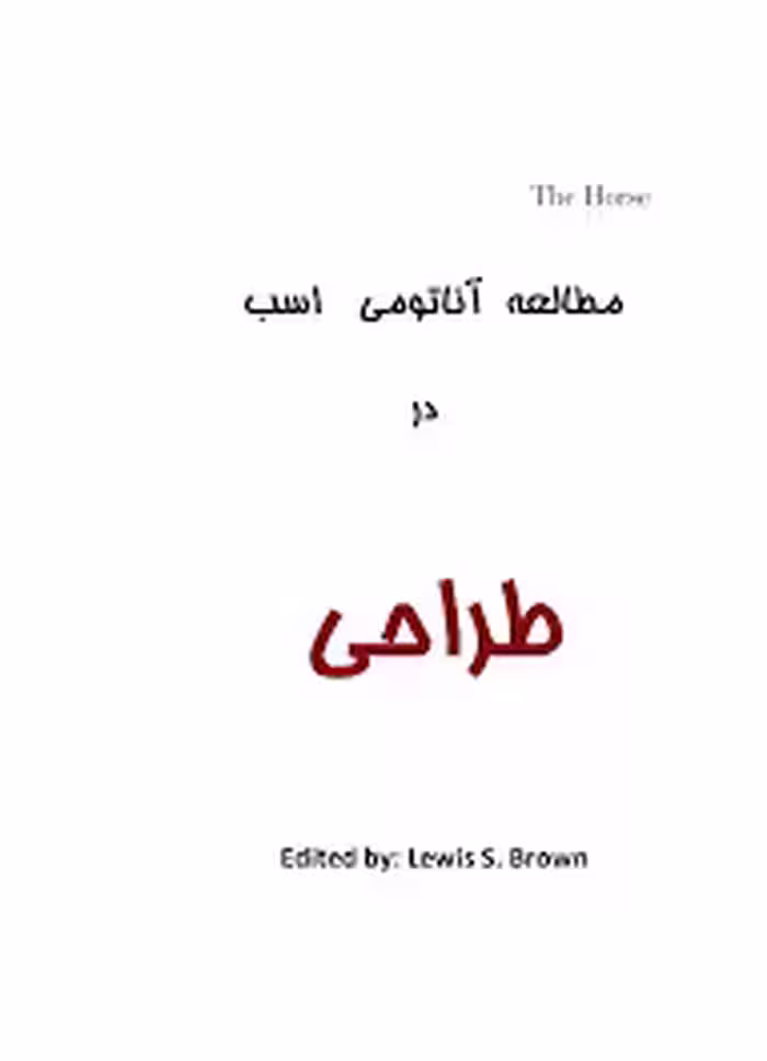 مطالعه آناتومی اسب در طراحی