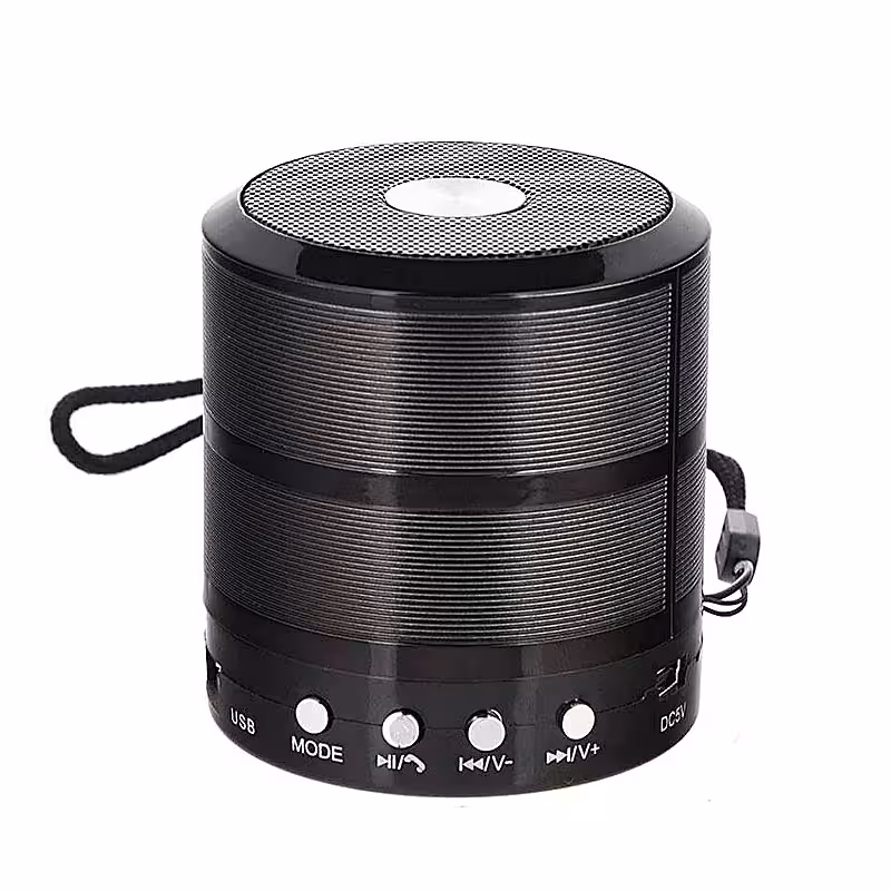 اسپیکر بلوتوثی قابل حمل مدل WS-887 کد3592