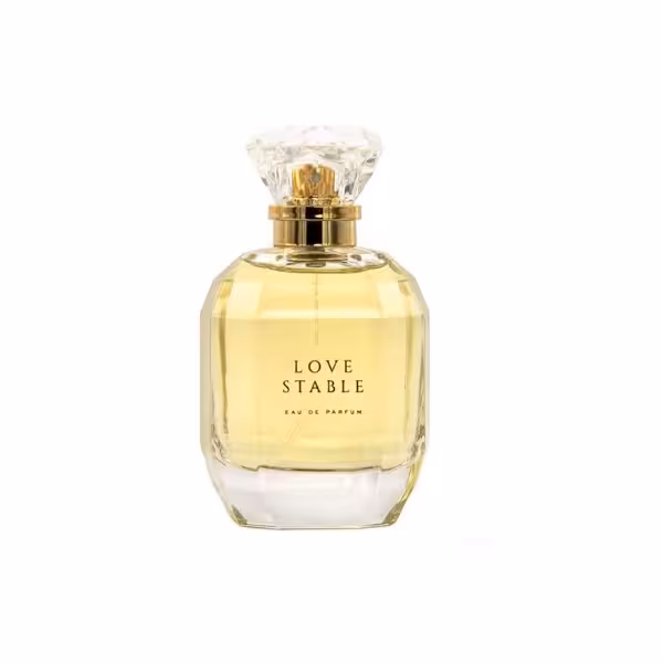 ادوپرفیوم زنانه ایکسید XCEED Love Stable