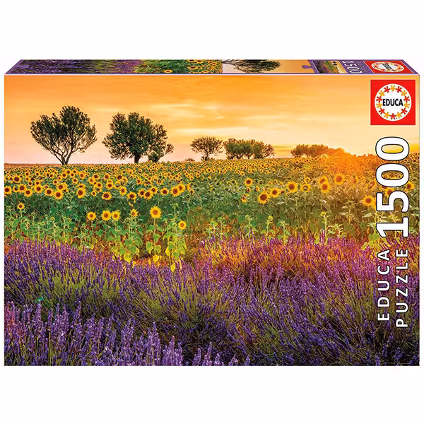 پازل 1500 قطعه Educa طرح مزرعه آفتابگردان و اسطخدوس