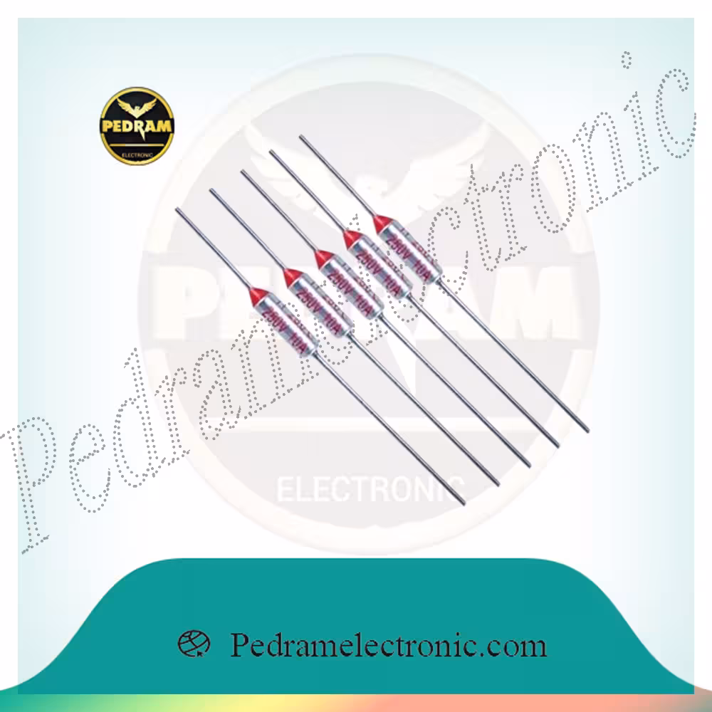 THERMAL FUSE 250 ترمال فیوز  10 آمپر 250 درجه