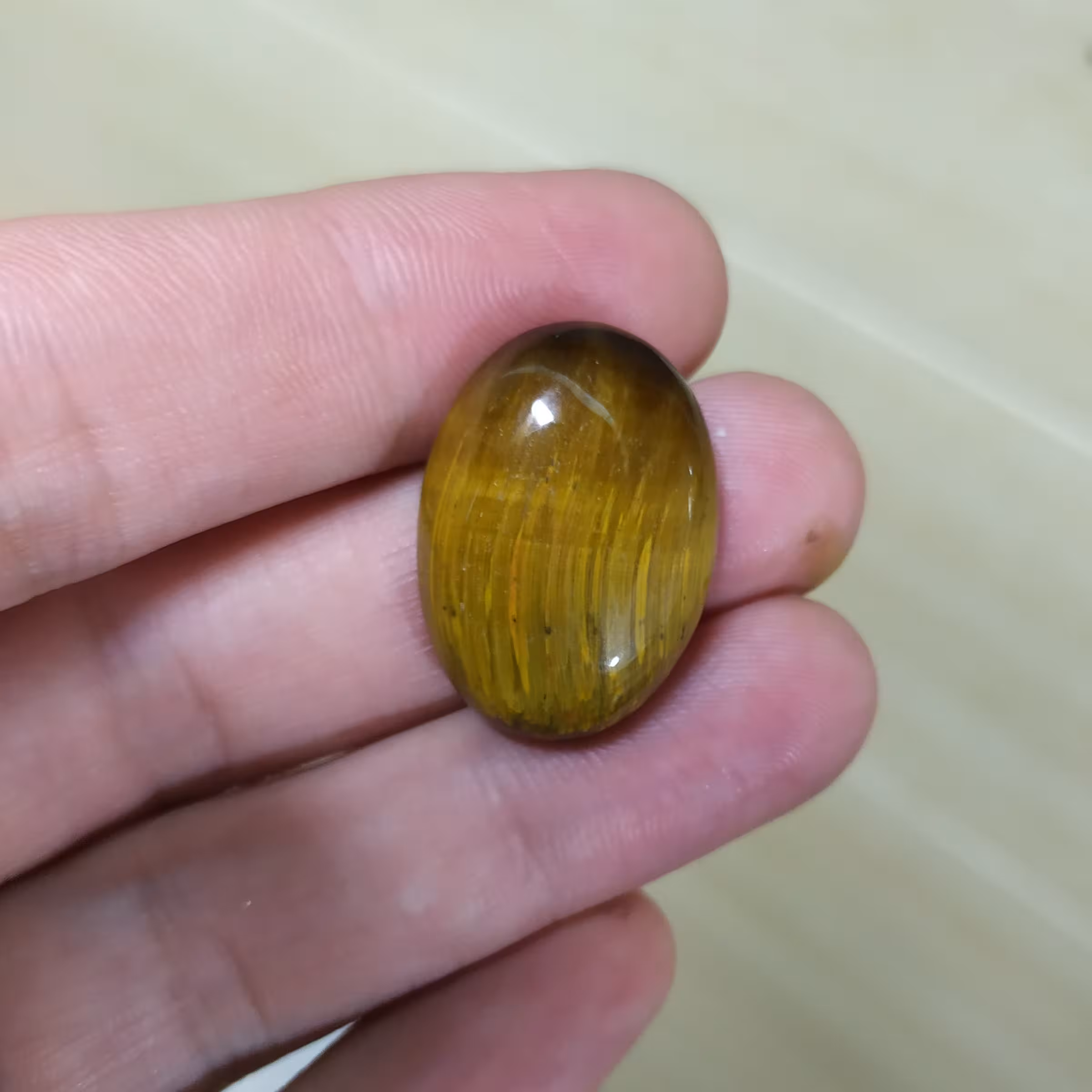 چشم ببر کد64