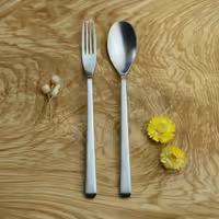 سرویس قاشق چنگال 151 پارچه ورسا مدل 360sf