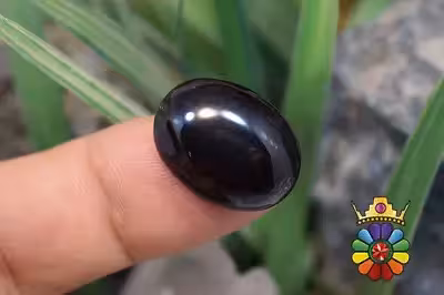 کهربای سیاه