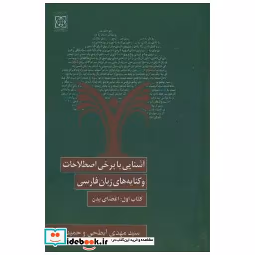 کتاب برخی اصطلاحات و کنایه های زبان فارسی اثر مهدی ابطحی حمید آقایی
