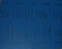 پوست آب 240 کاربوفلکس