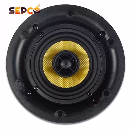 اسپیکر سقفی SP41