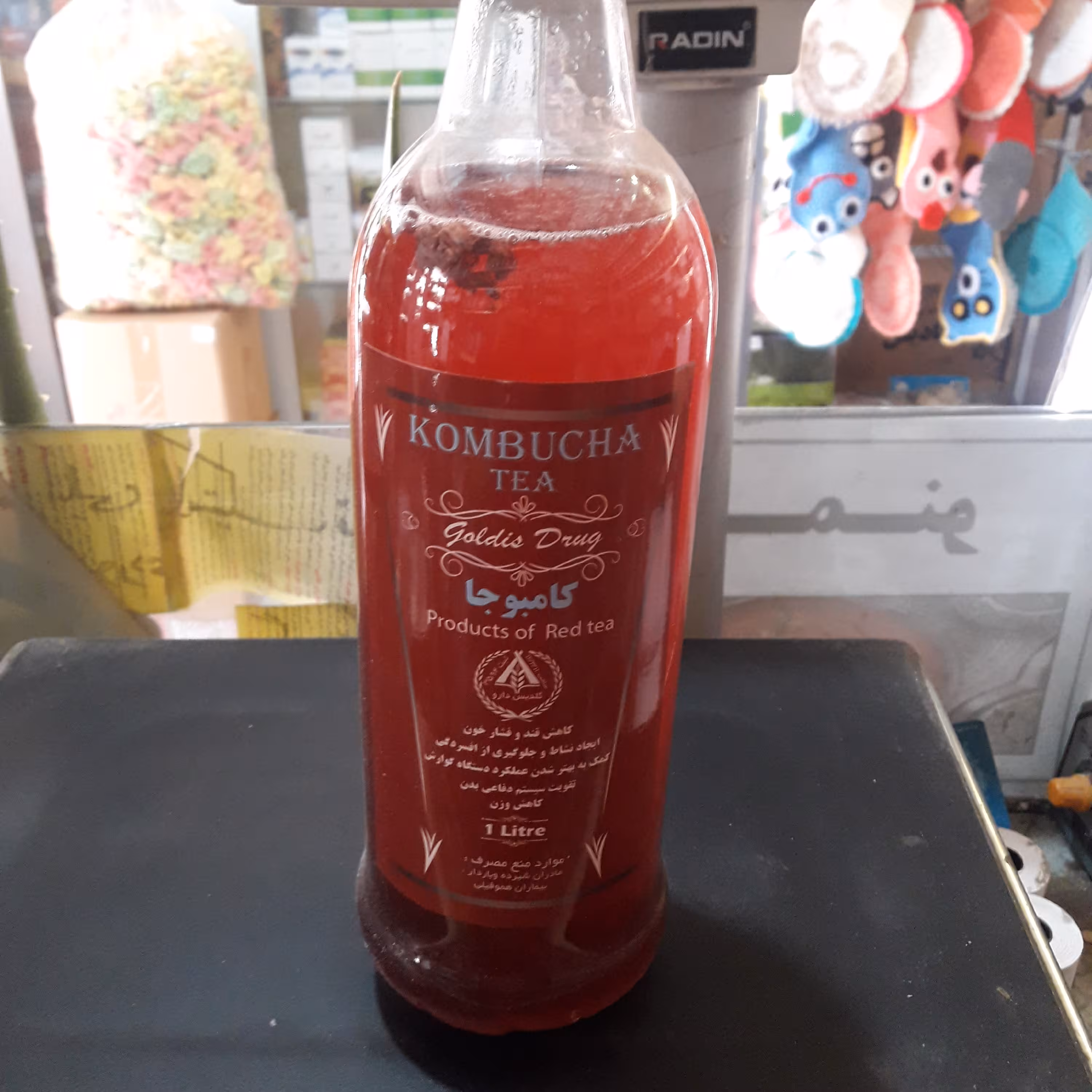 عصاره قارچ کامبوجا