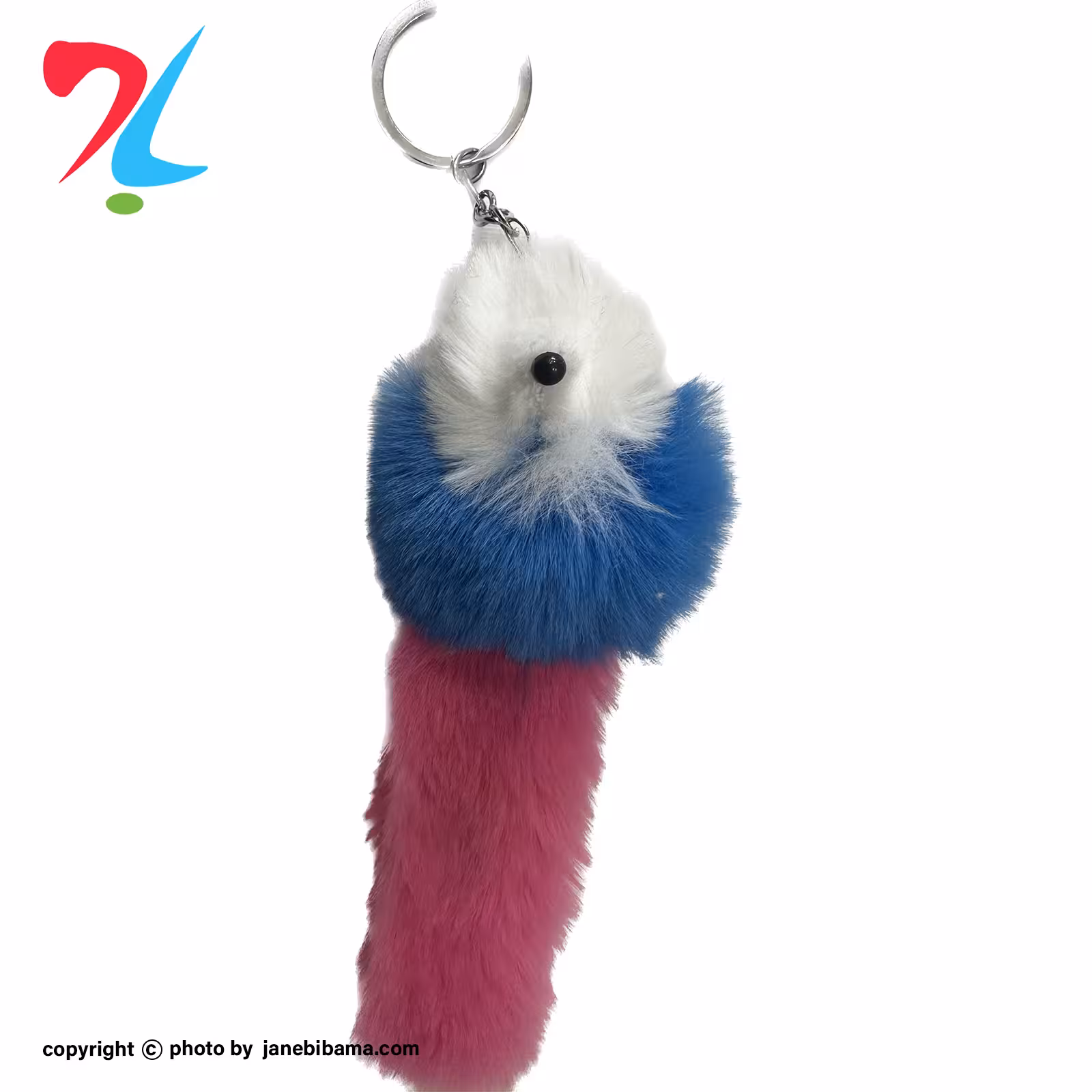 جاسوئیچی موش پشمالو دم دار