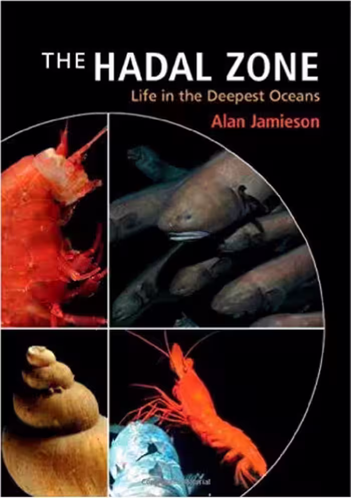 خرید و دانلود نسخه کامل کتاب The Hadal Zone: Life in the Deepest Oceans