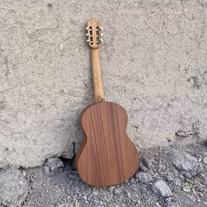 گیتار مدل C70