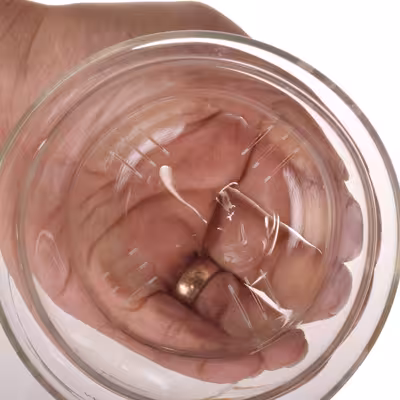 لیوان دمنوش ساز مدل 1313