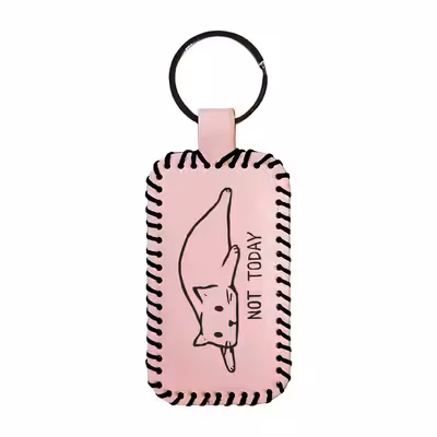 جاکلیدی مدل گربه