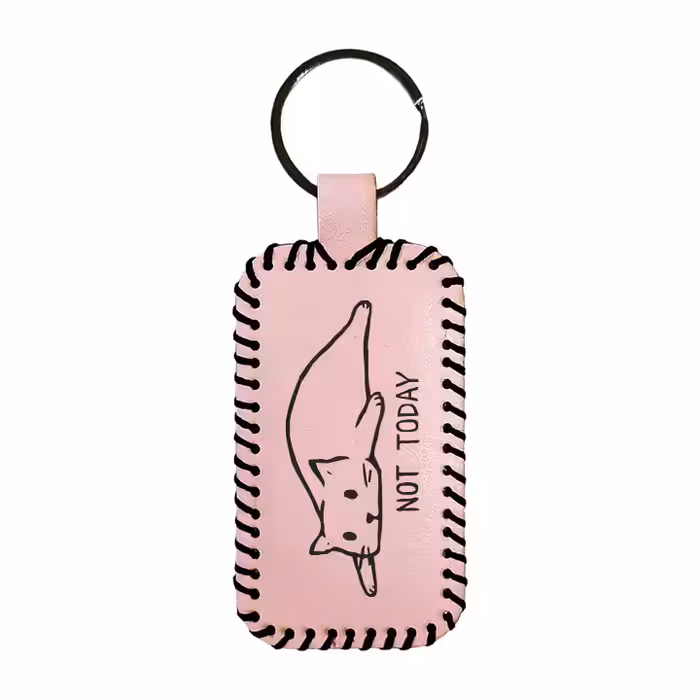 جاکلیدی مدل گربه