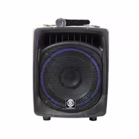 اکو همراه بیسیم 12 اینچ برند زیکو مدل Z-122