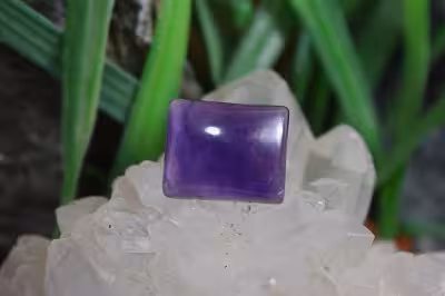 امتیست دامله(کاپوشی)