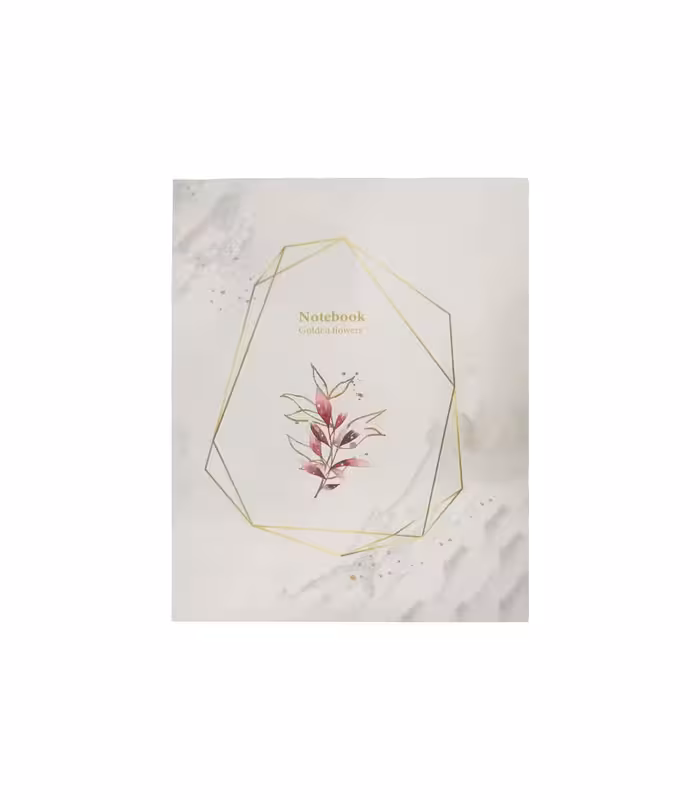 پاپکو دفتر کلاسوری جلد سخت 100 برگ PAPCO PN 6180