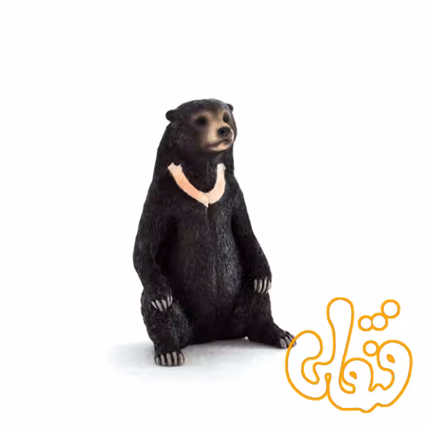خرس sun bear 387173