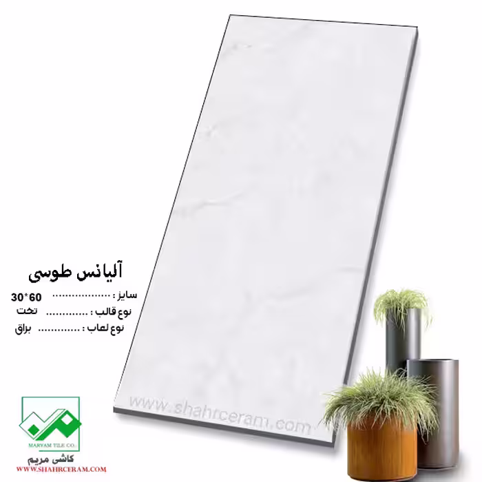 سرامیک آلیانس طوسی 60*30 کاشی مریم