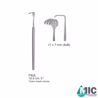 اکارتور تاندون پائول(PAUL)