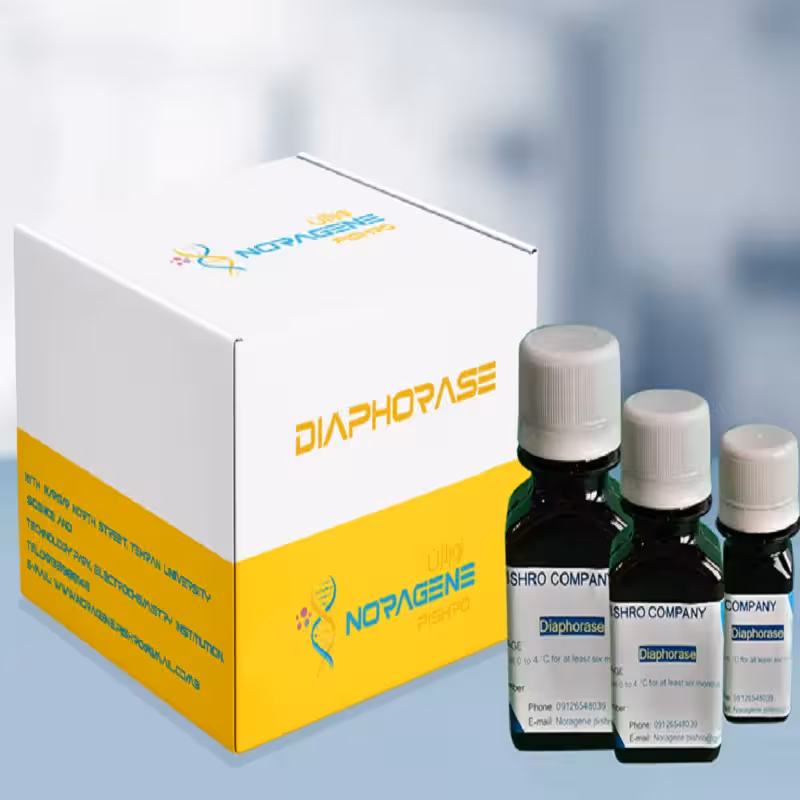 آنزیم دیافورز