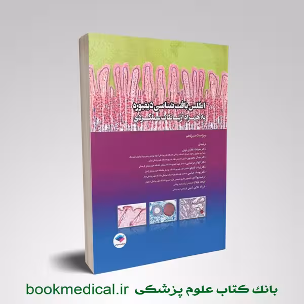 اطلس بافت شناسی دیفیوره به همراه ارتباطات عملکردی
